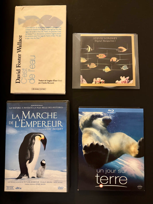 Eau, Terre & Groove – David Foster Wallace + 2 docs nature (DVD/Blu-ray) + Stevie Wonder